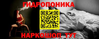 хмурый Бердск